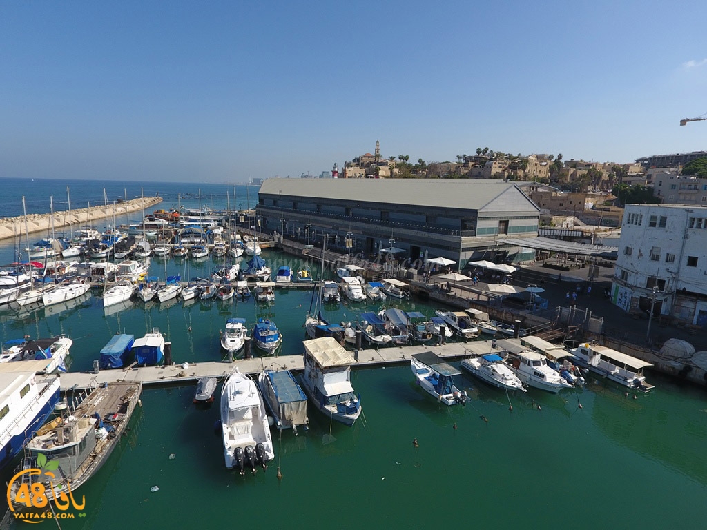 Mina2 jsaqi (5).jpg.jpg